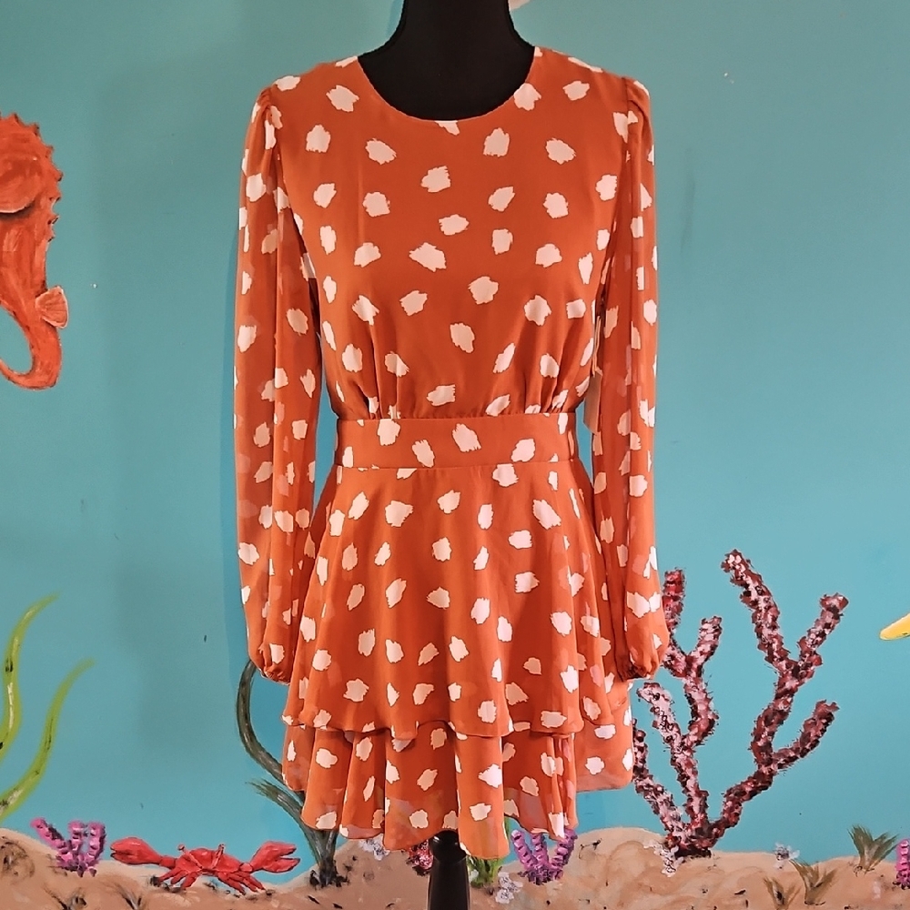 Forever 21 Long Sleeve Dress